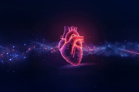 image_Medical Terminology