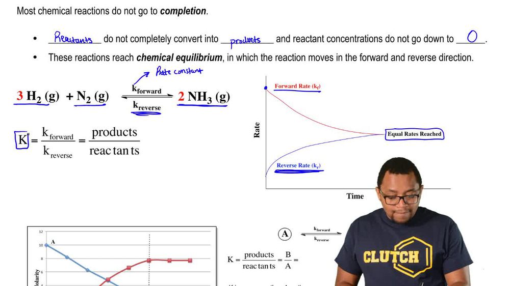 The Equilibrium State