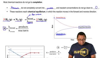 The Equilibrium State