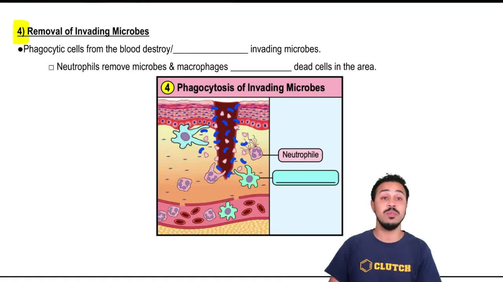 Step 4: Removal of Invading Microbes