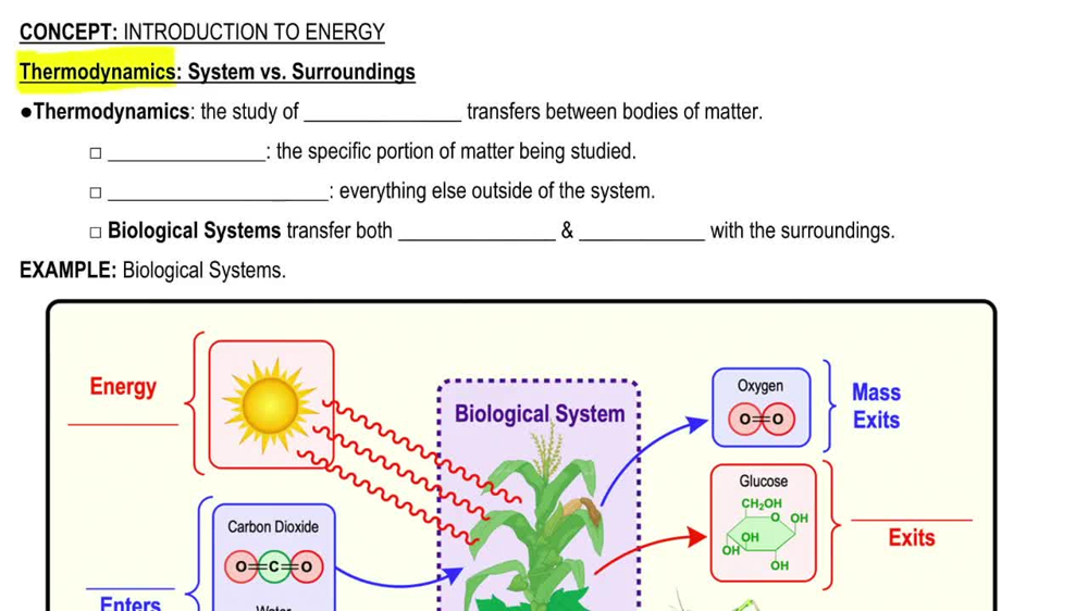 Thermodynamics: System vs. Surroundings