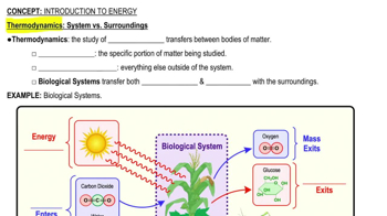 Thermodynamics: System vs. Surroundings