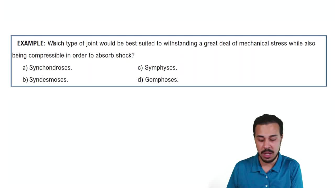 Structural Class: Cartilaginous Joints Example 2