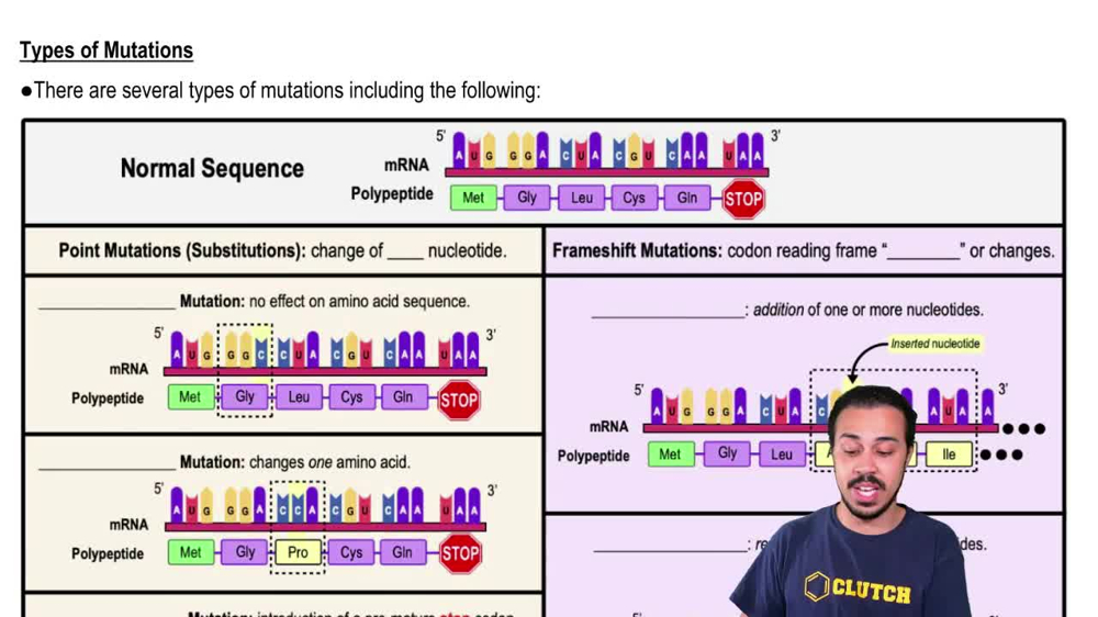 Types of Mutations