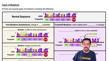 Types of Mutations