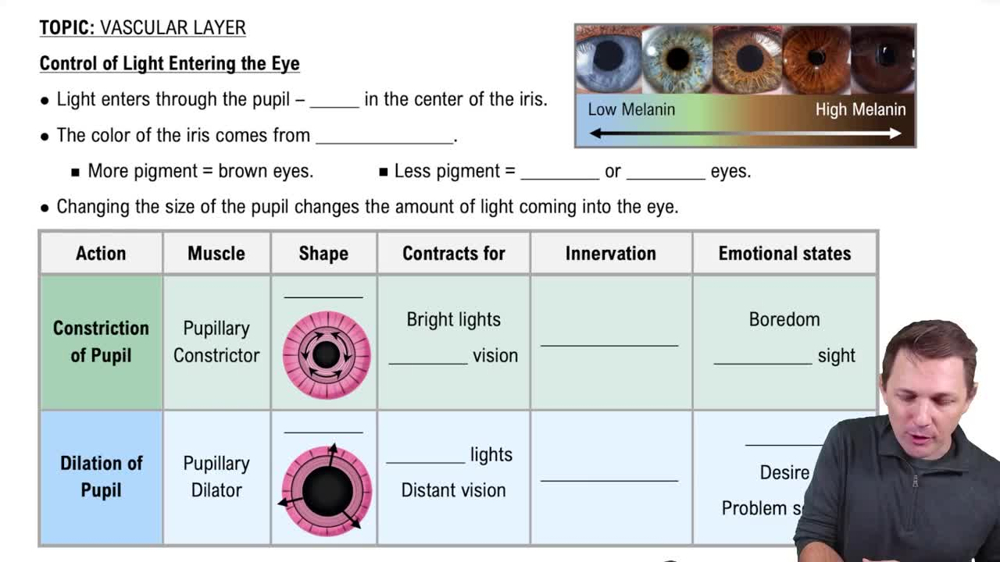 Control of Light Entering the Eye