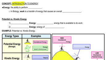Introduction to Energy