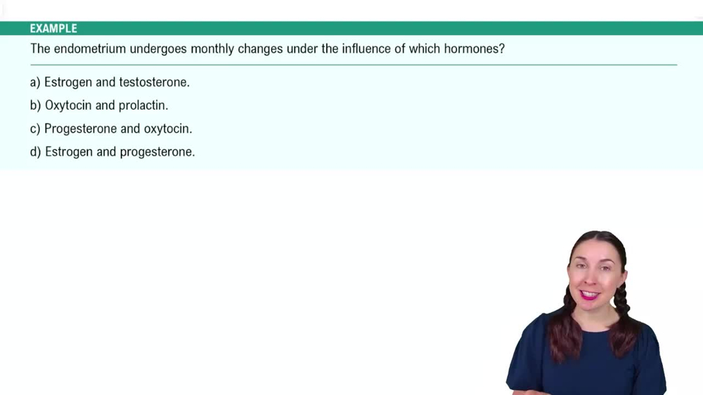 Anatomy of the Female Reproductive System Example 4