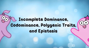Incomplete Dominance and Codominance 