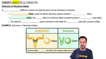 Dominant vs. Recessive Alleles