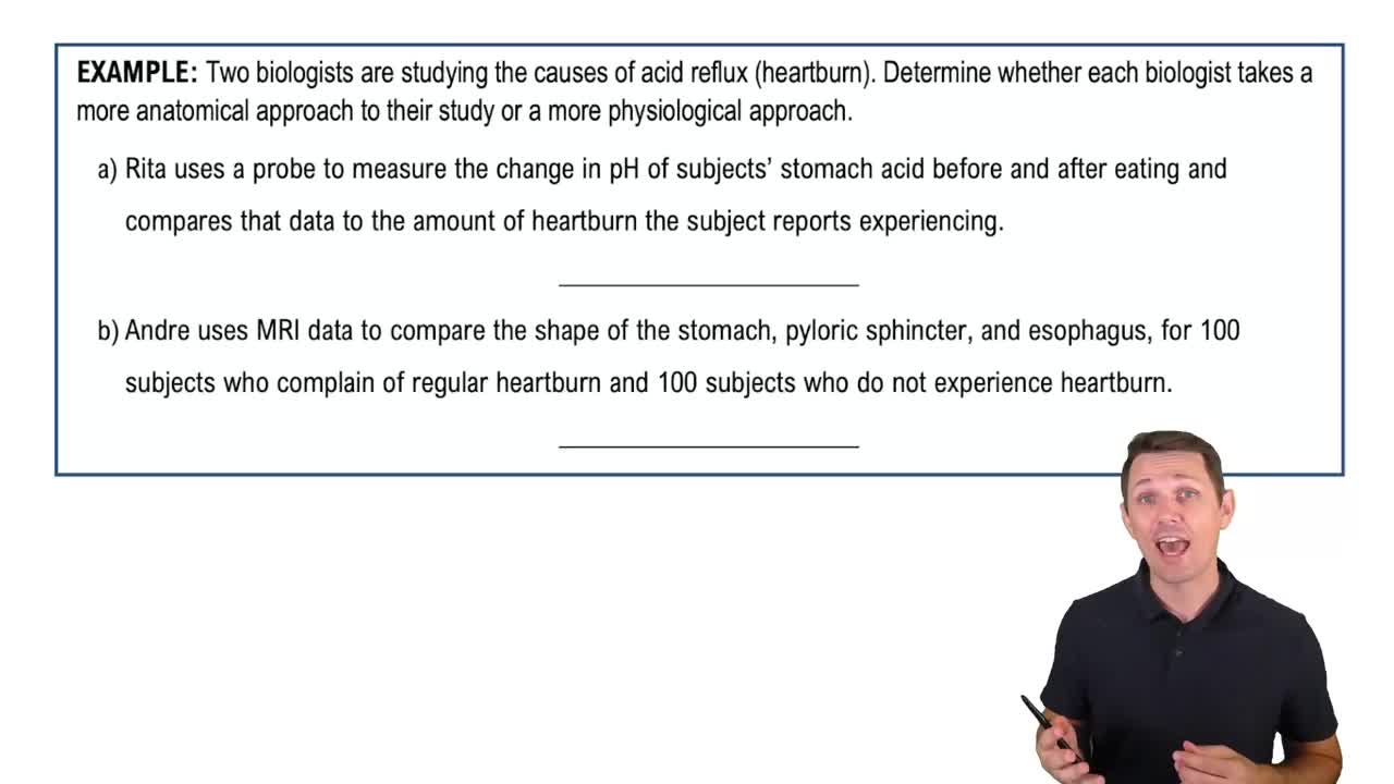 What is Anatomy & Physiology? Example 2