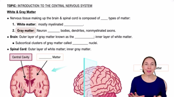 White & Gray Matter