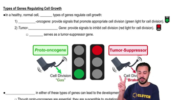 Types of Genes Regulating Cell Growth