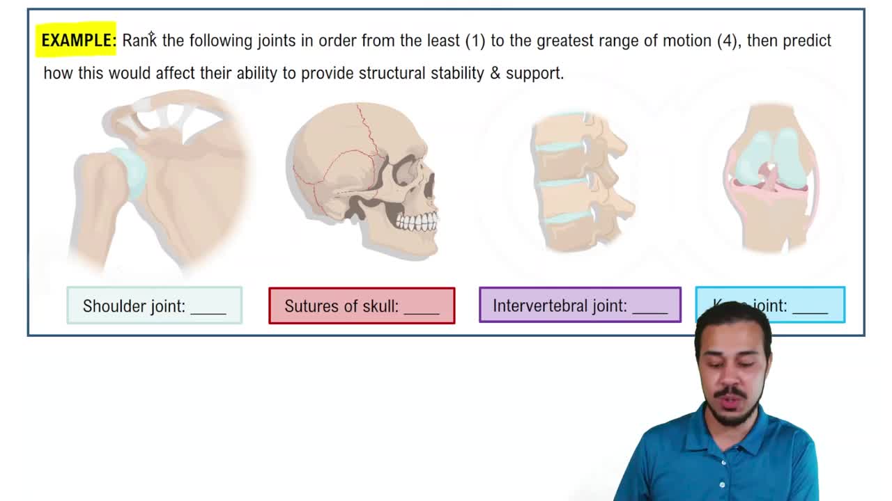 Introduction to Joints Example 1