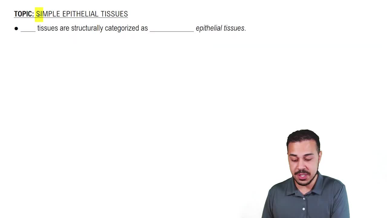 Four Simple Epithelial Tissues