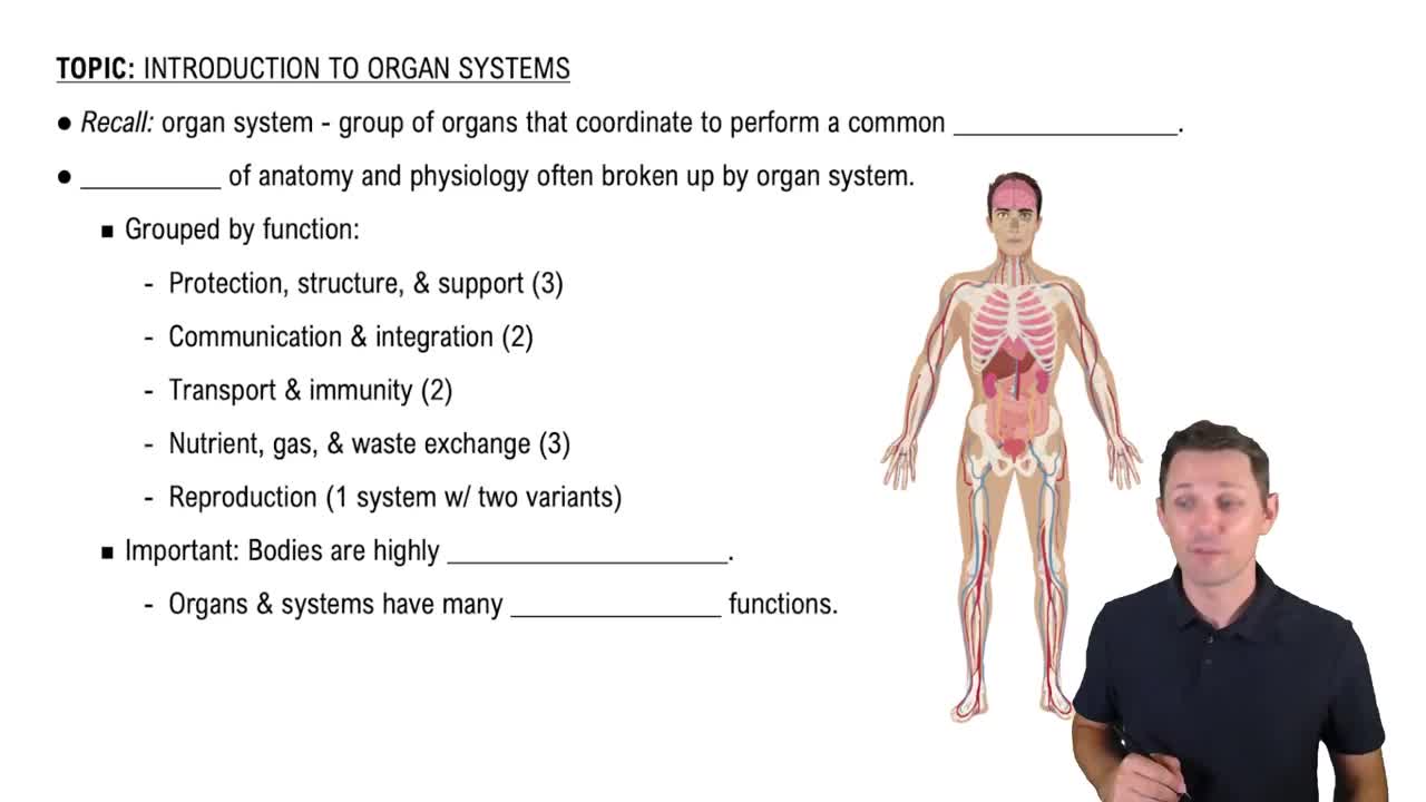Introduction to Organ Systems