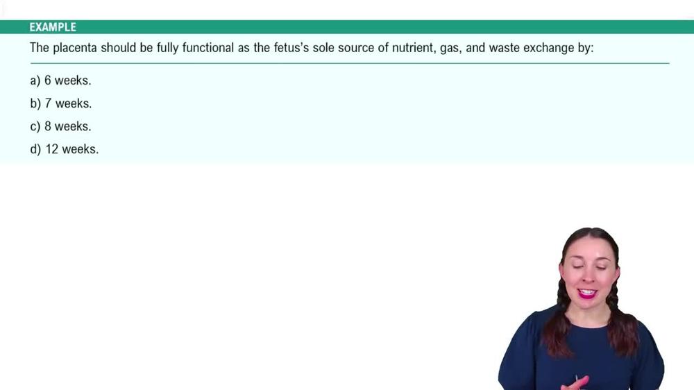 Placentation Example 3