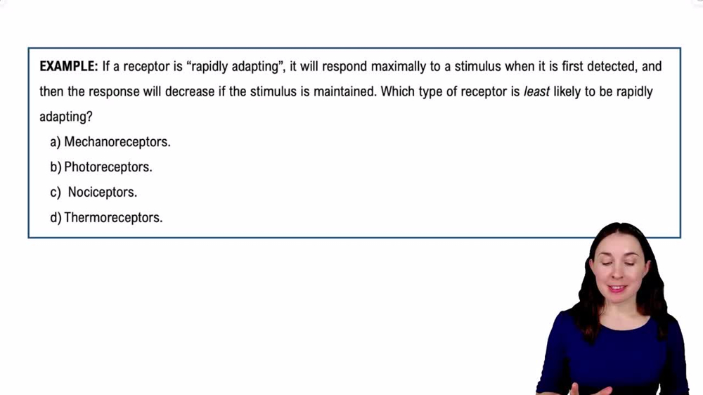 Sensory Receptor Classification by Modality Example 1