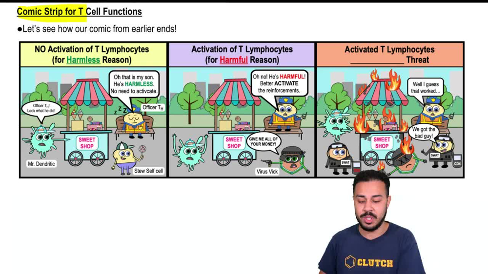 Comic Strip for Effects of T Cell Functions