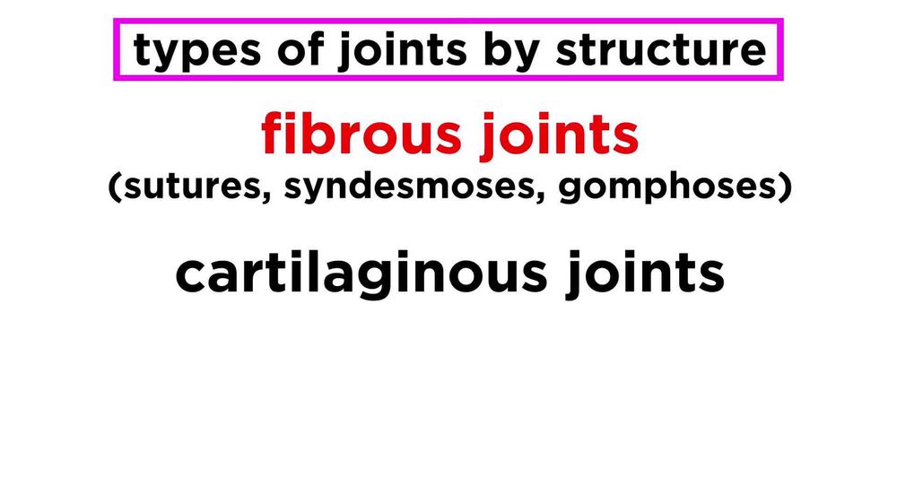 Joints: Structure and Types of Motion