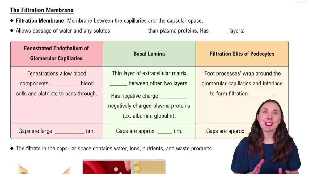 The Filtration Membane