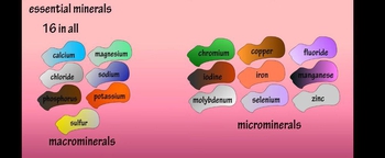 Minerals, Essential Minerals