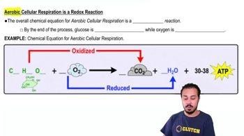 Aerobic Cellular Respiration is a Redox Reaction