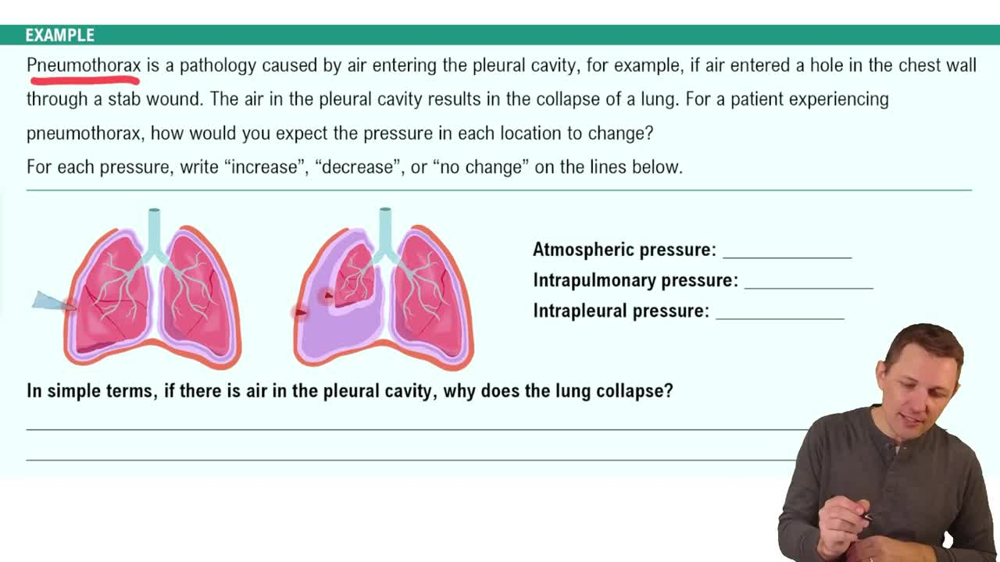 Pressure in the Lungs and Pleural Cavity Example 2