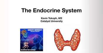 Overview & Comparison of Water- vs Lipid-Soluble Hormones