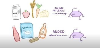 Carbohydrates & Sugars
