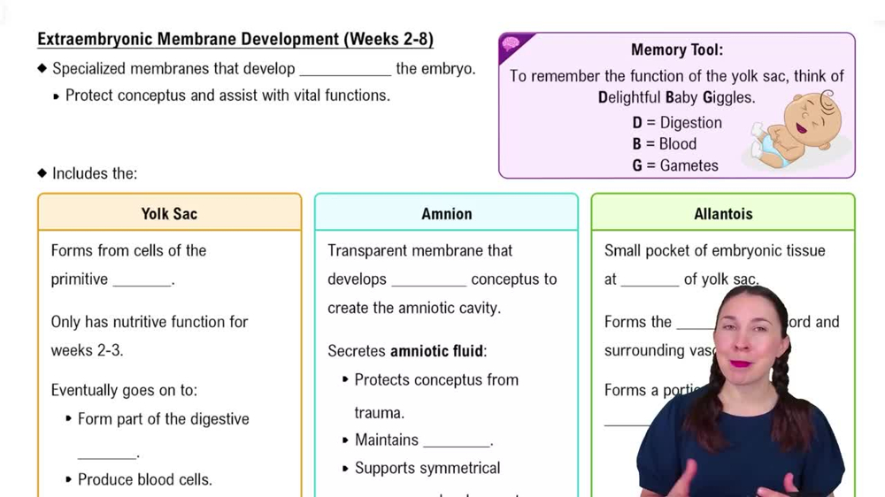 Extraembryonic Membrane Development (Weeks 2-8)