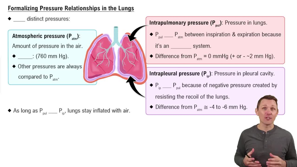 Formalizing Pressure Relationships in the Lungs