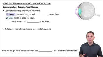 Accommodation: Changing Focal Distance