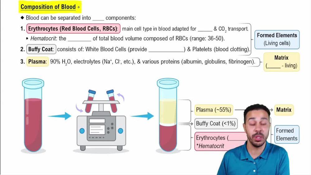 Composition of Blood