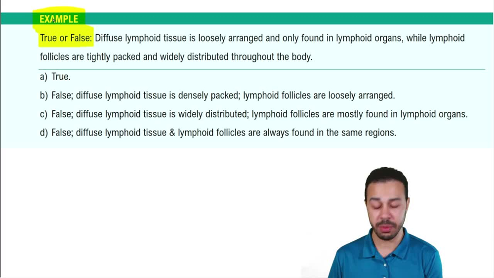 Lymphoid Cells & Tissues Example 2