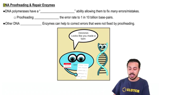 DNA Proofreading & Repair Enzymes
