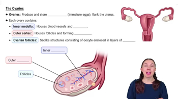 The Ovaries