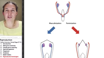 Reproduction, Homologous structures