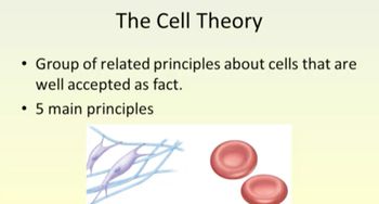 Cell Theory