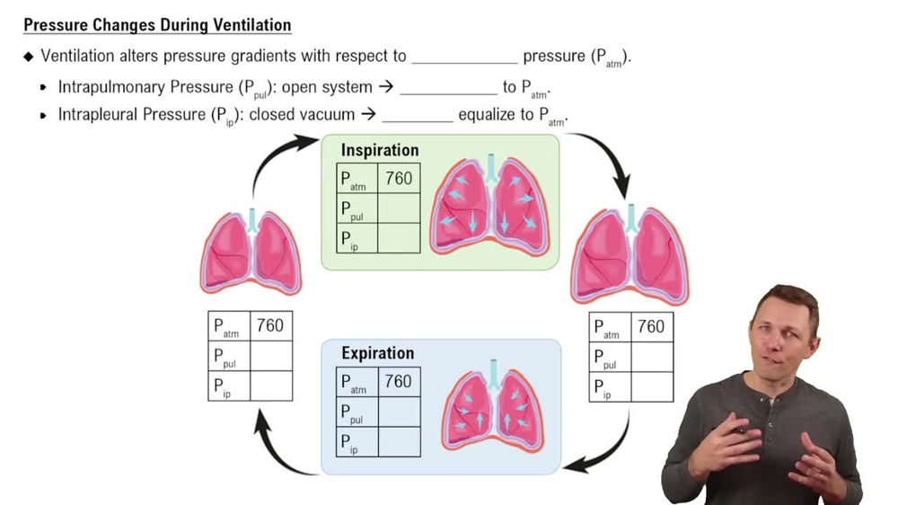 Pressure Changes During Ventilation