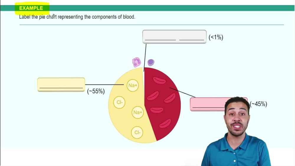 Introduction to Blood Example 2