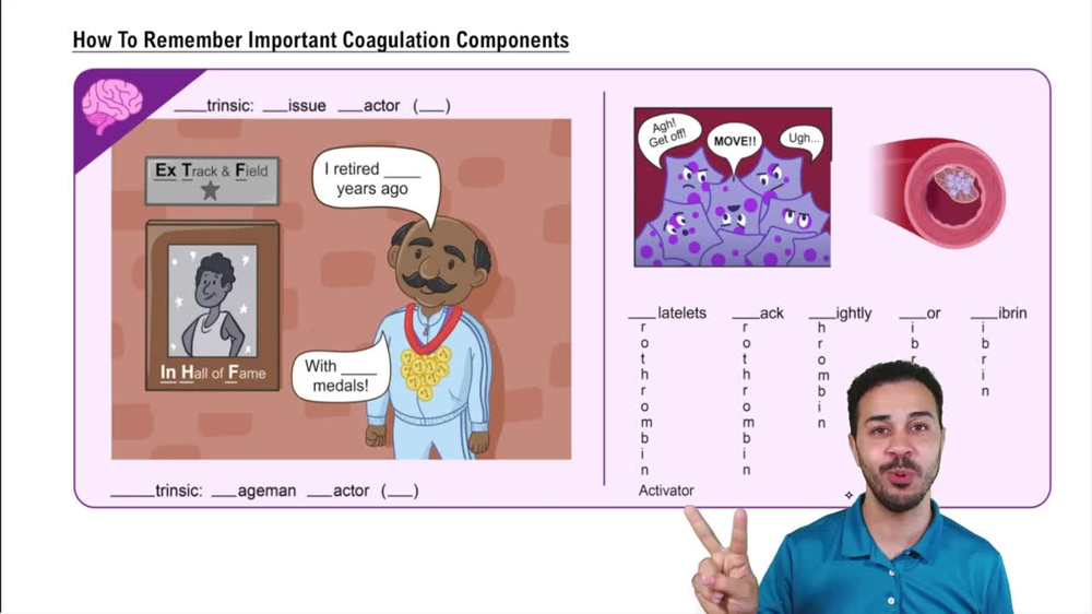 How To Remember Important Coagulation Components