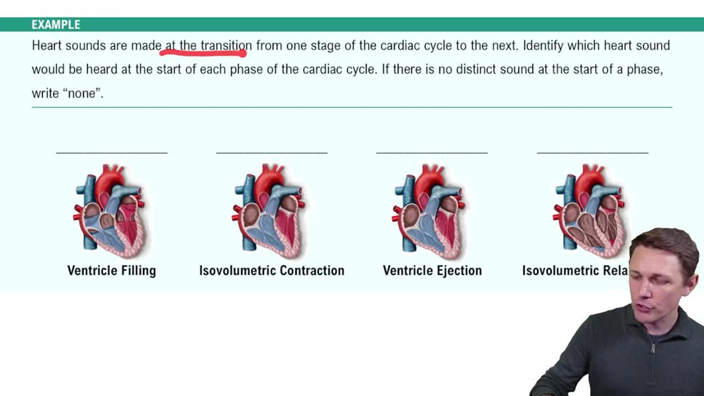 Cardiac Cycle Example 3