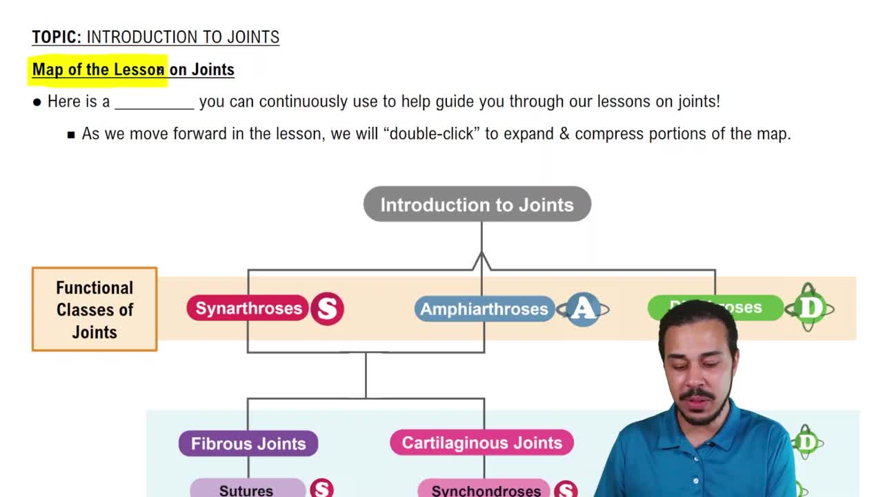 Map of the Lesson on Joints