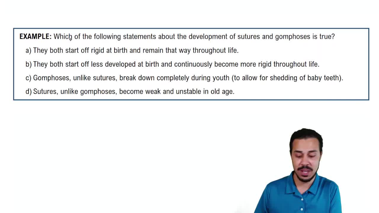 Structural Class: Fibrous Joints Example 2
