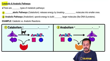 Catabolic & Anabolic Pathways