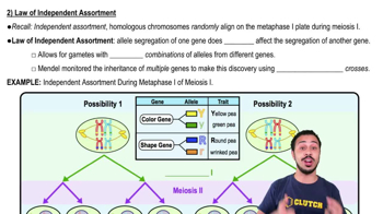 Law of Independent Assortment