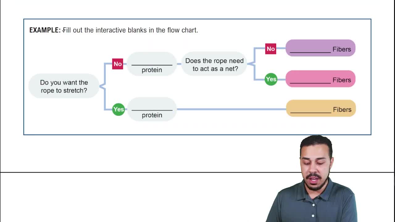 Introduction to Connective Tissue Proper Example 1