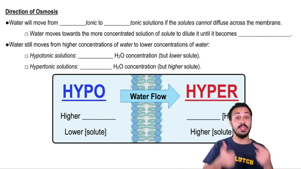 Direction of Osmosis