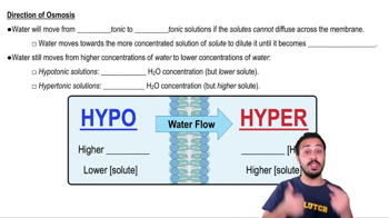 Direction of Osmosis